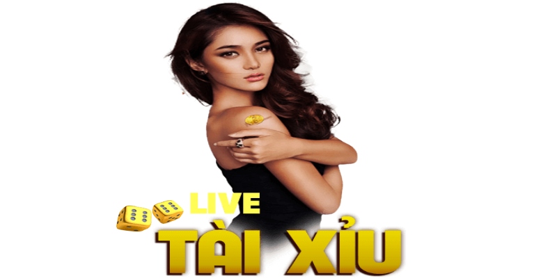 Cách chơi tài xỉu live cơ bản nhất