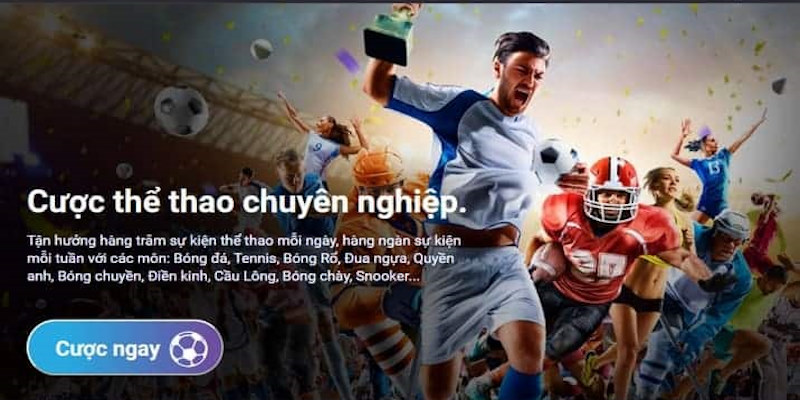 K-Sports - Khám phá sảnh cược thể thao đẳng cấp hàng đầu Châu Á